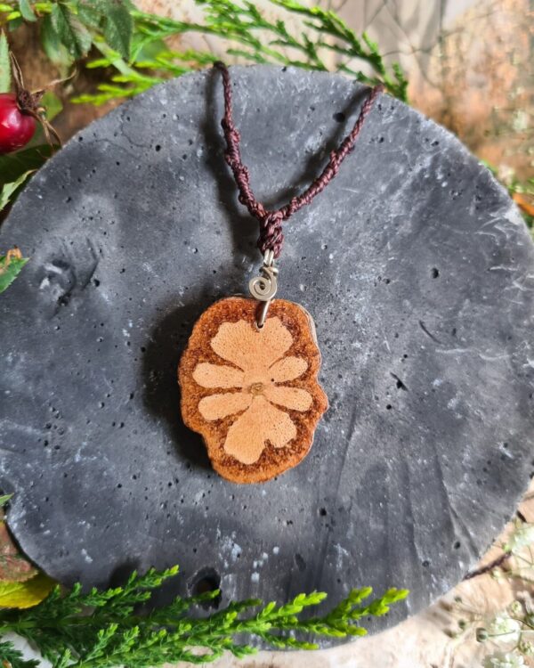 Ayahuasca vine slice necklace from the Amazon