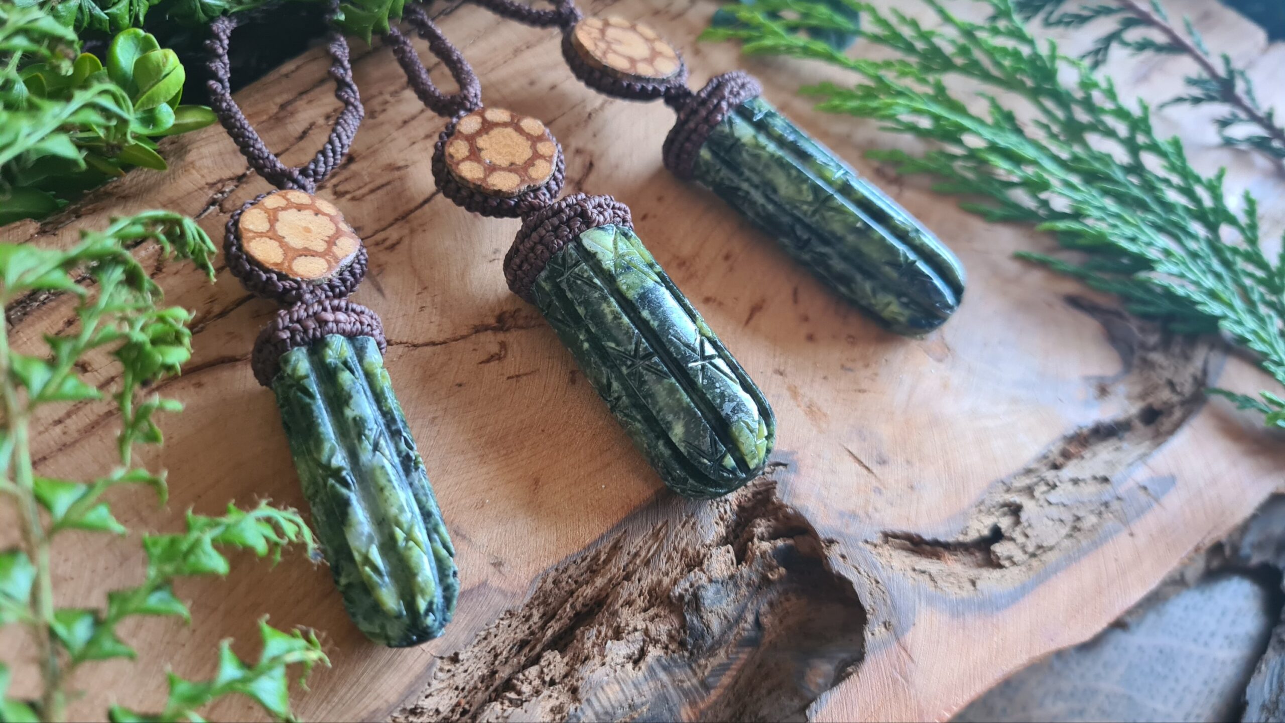 Huachuma San Pedro Cactus serpentine stone carved necklace with Ayahuasca slice