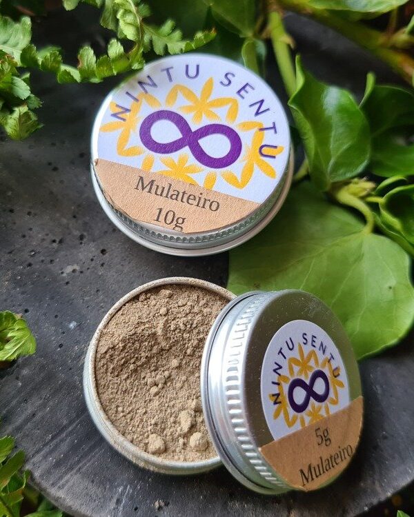 Mulateiro