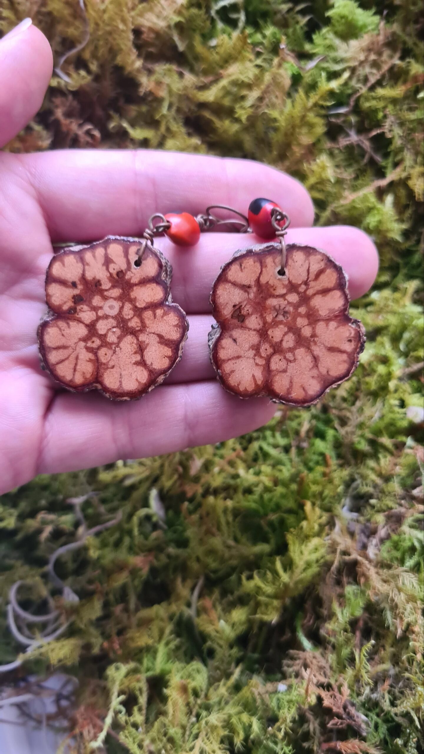 Ayahuasca slice earrings with Huayruro seeds - Image 4