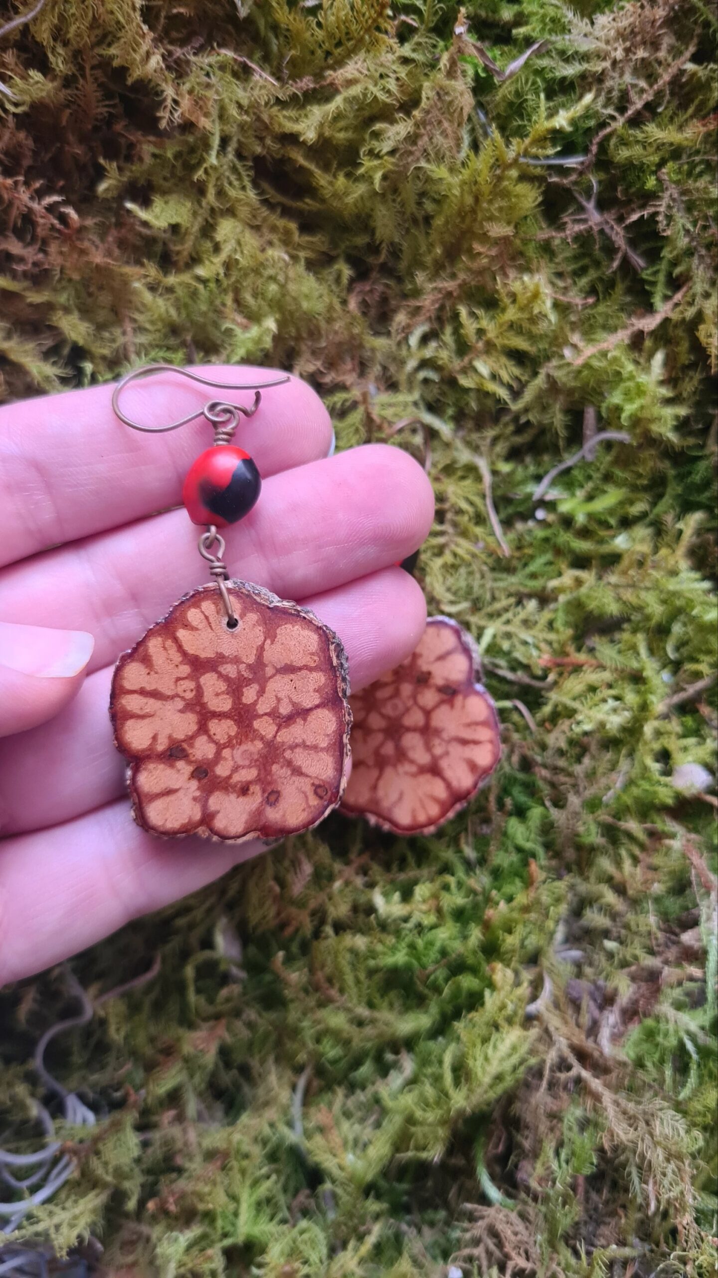 Ayahuasca slice earrings with Huayruro seeds - Image 5