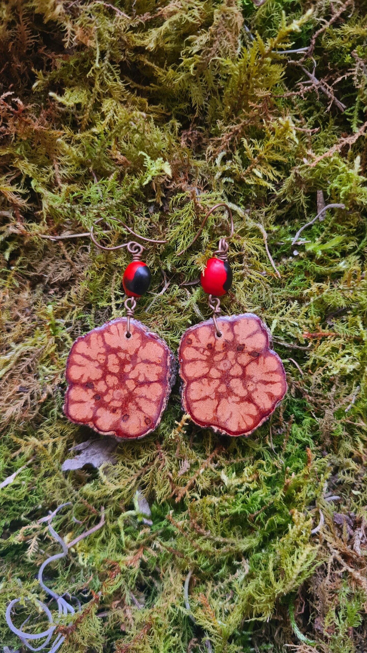 Ayahuasca slice earrings with Huayruro seeds - Image 2