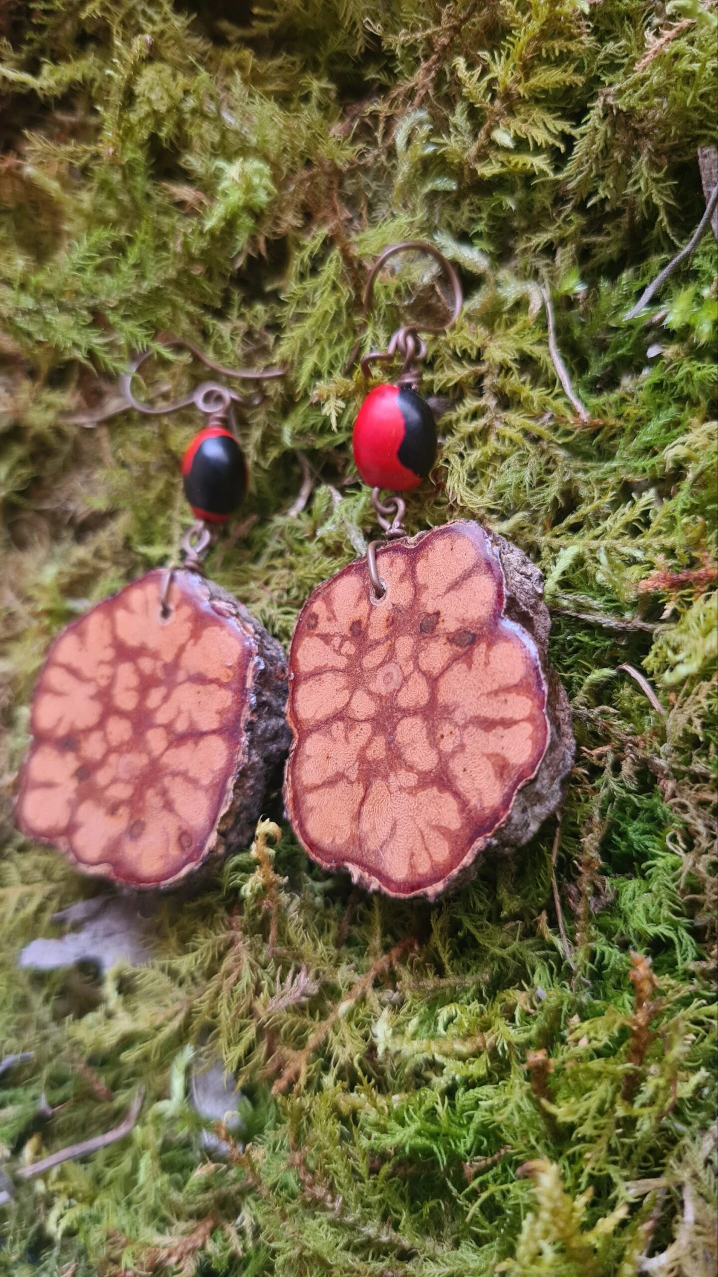Ayahuasca slice earrings with Huayruro seeds