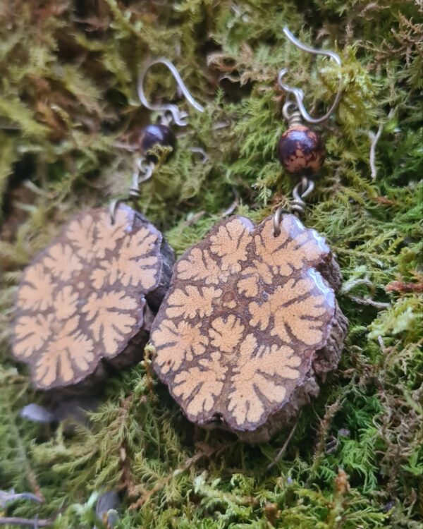 Ayahuasca slice earrings