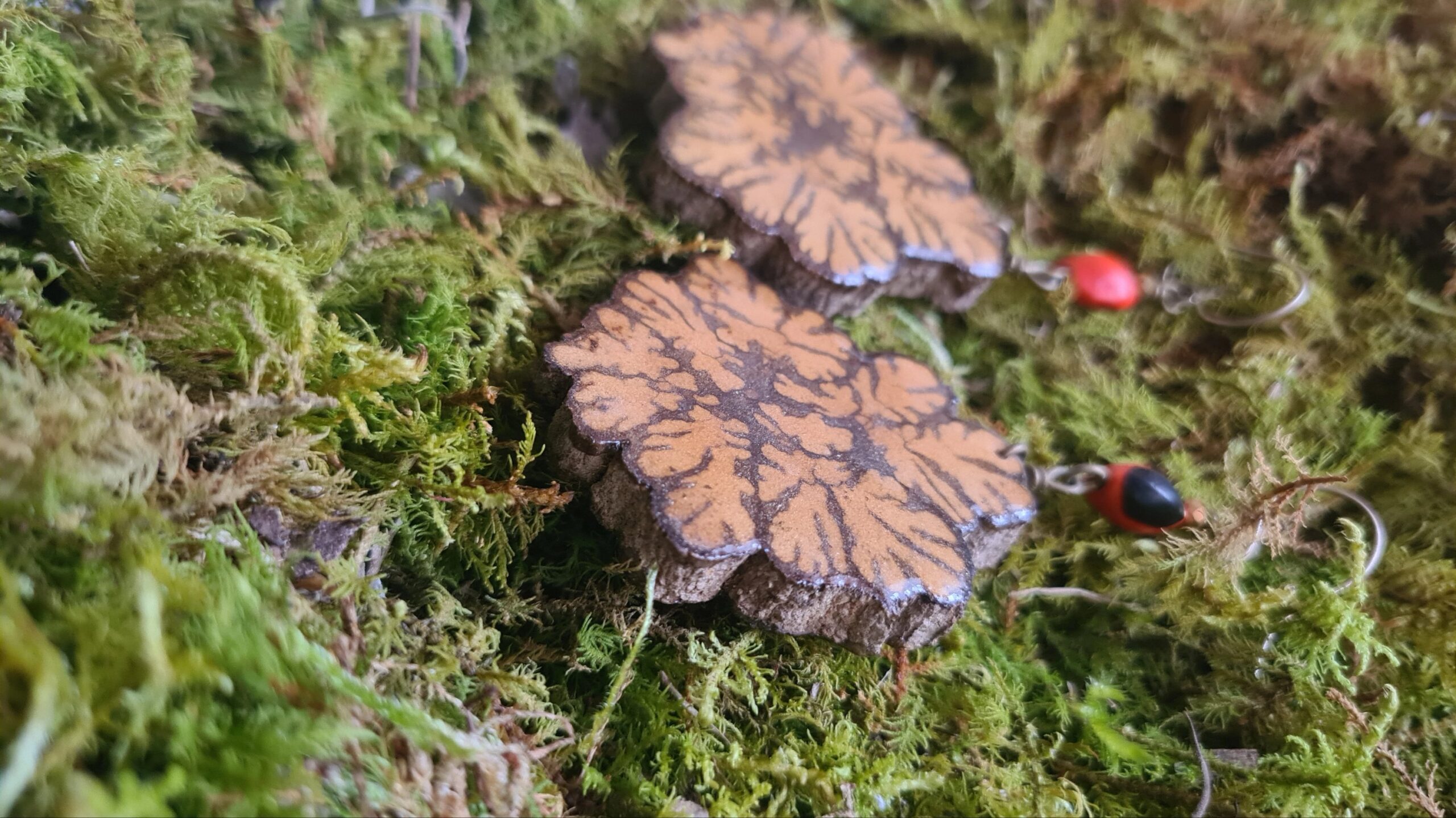 Ayahuasca slice earrings - Image 3