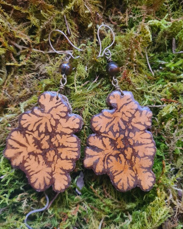 Ayahuasca slice earrings