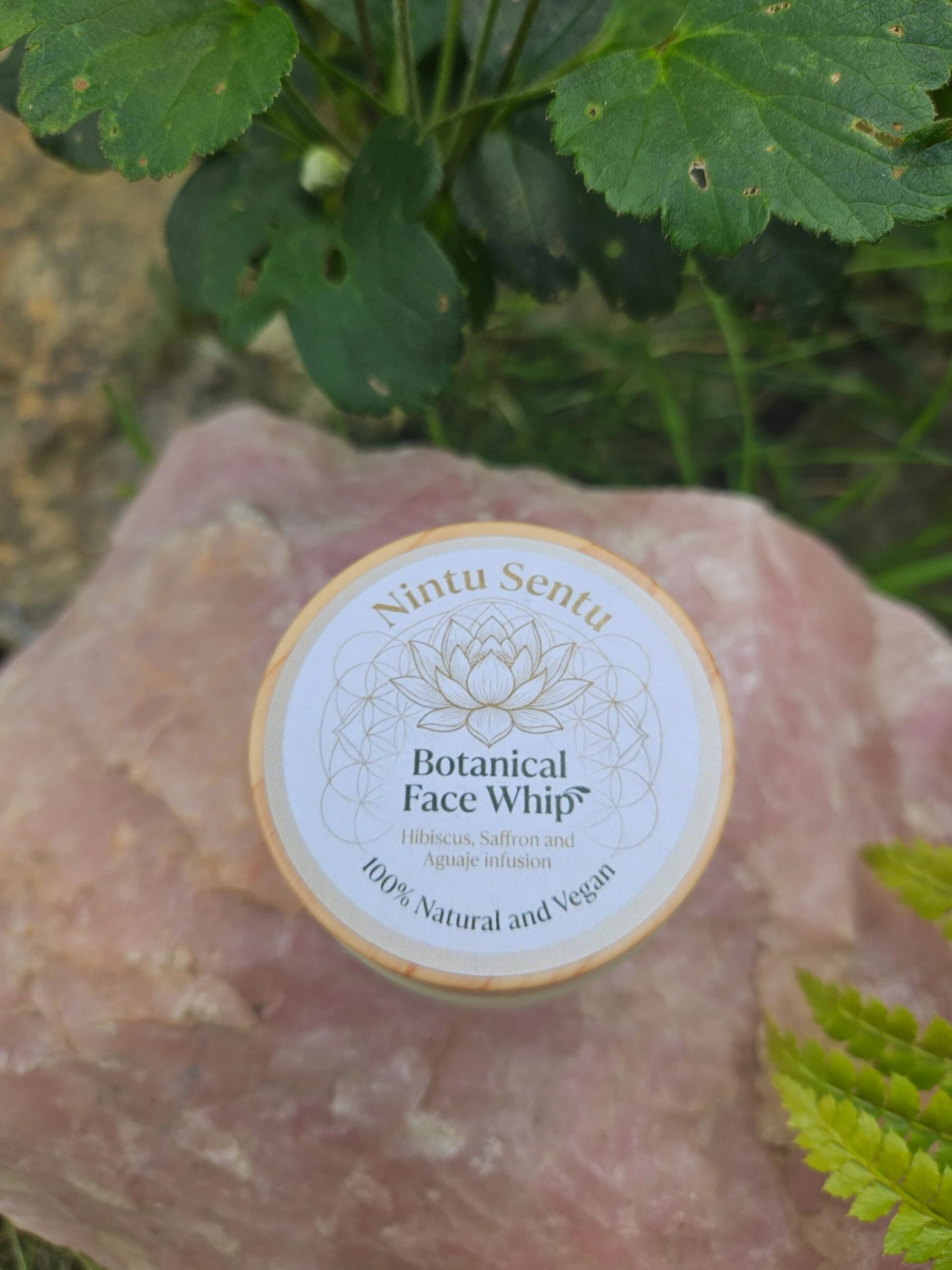 Saffron & Aguaje Botanical Radiance Face Cream - Image 2