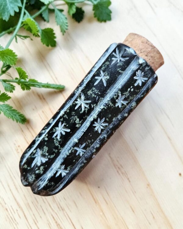 Huachuma San Pedro carved serpentine stone storage